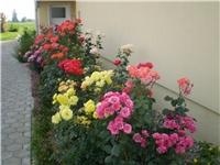 954c6976-Picture 336.jpg